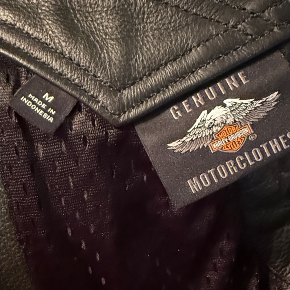 HARLEY-DAVIDSON® WOMEN’S DELUXE II LEATHER CHAPS - Picture 7 of 8